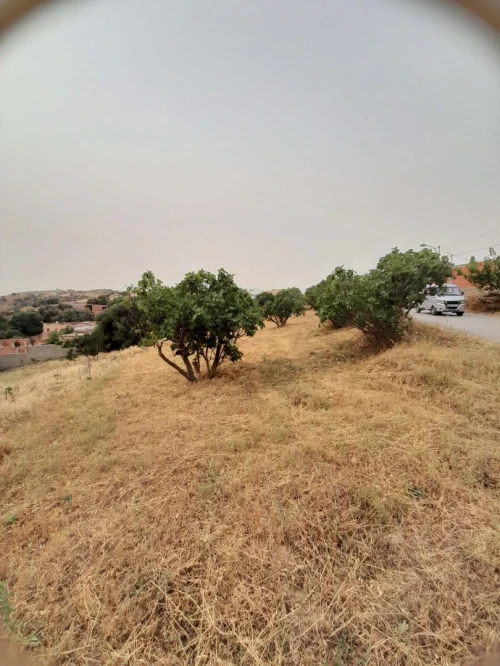Vente Terrain Tizi Ouzou Draa el mizan