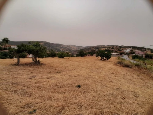 Vente Terrain Tizi Ouzou Draa el mizan