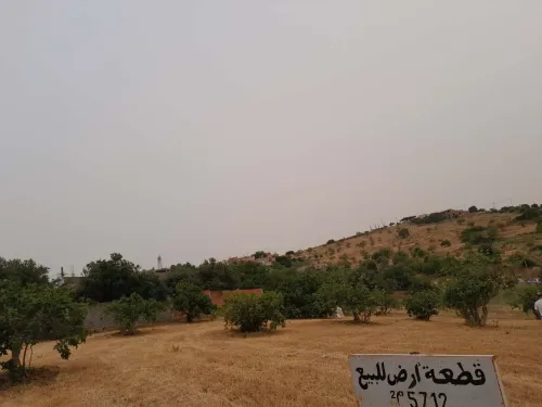Vente Terrain Tizi Ouzou Draa el mizan
