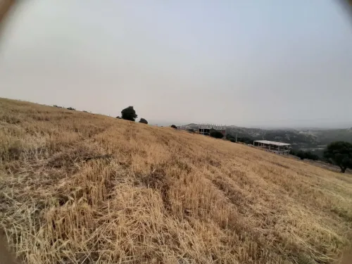 Vente Terrain Tizi Ouzou Draa el mizan