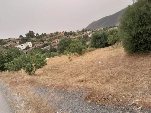 Vente Terrain Tizi Ouzou Draa el mizan