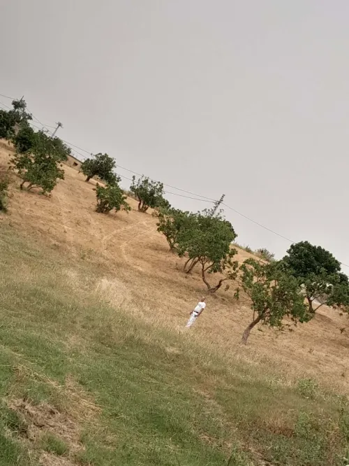 Vente Terrain Tizi Ouzou Draa el mizan