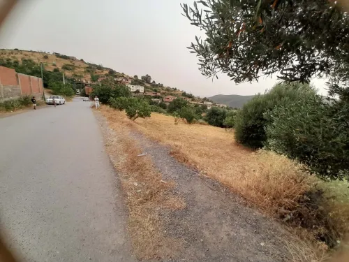 Vente Terrain Tizi Ouzou Draa el mizan
