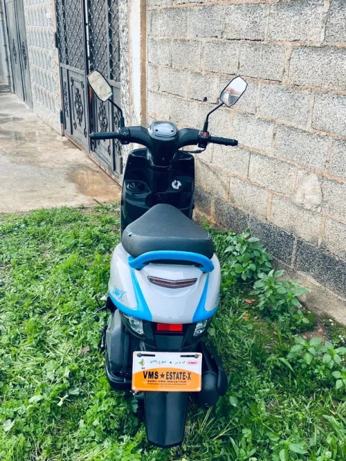Vms Estate x 2025