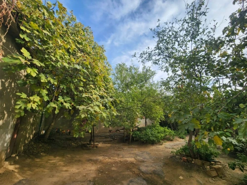 Vente Villa Aïn Defla Khemis miliana