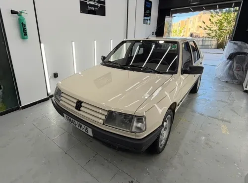 Peugeot 309 1991 