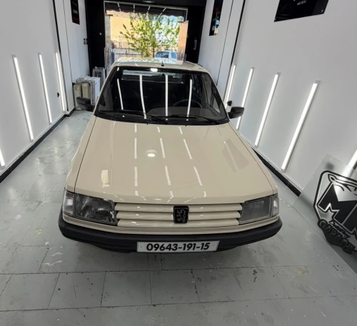 Peugeot 309 1991 