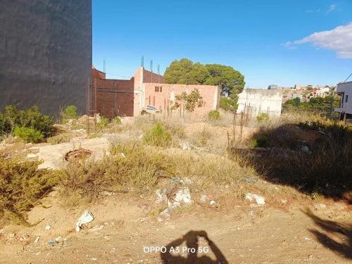 Vente Terrain Tlemcen Honaine