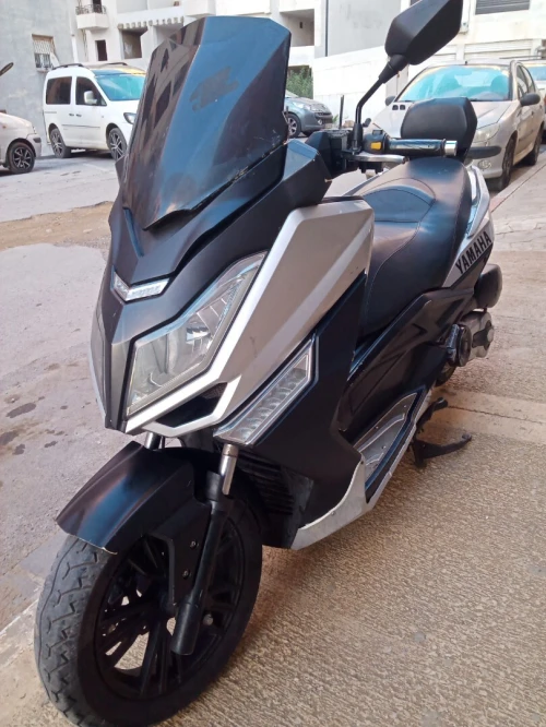 SAM SALEX 250cc 2019