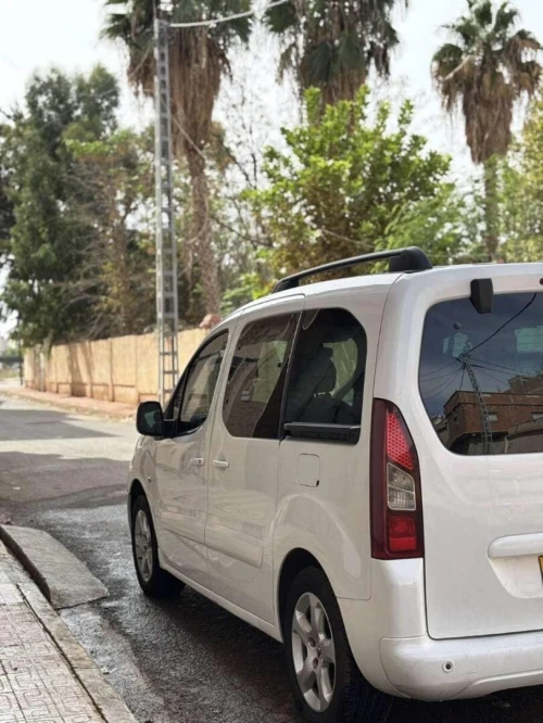 Peugeot Partner 2014 Tepee