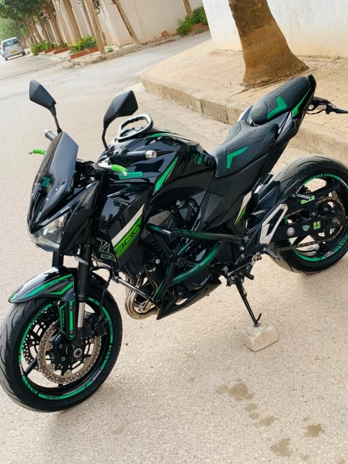 Z800R Kawasaki 2013