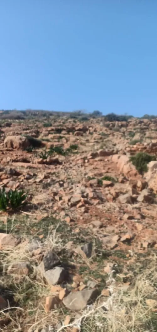 Vente Terrain Tlemcen Ain fetah