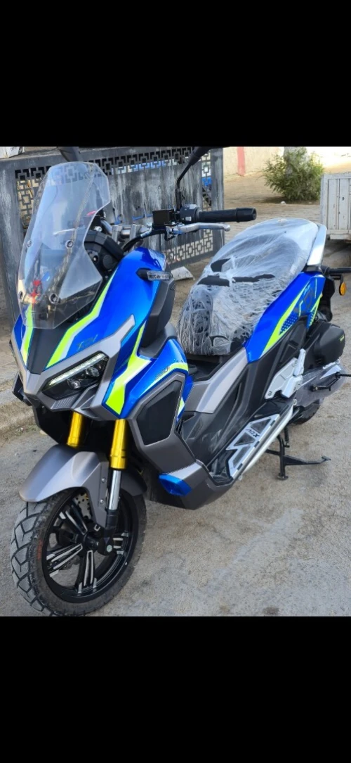 Vms XDV 2025