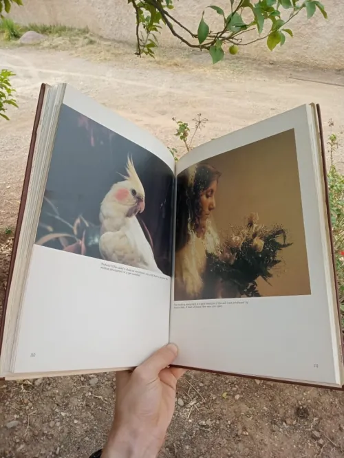 Film photography 