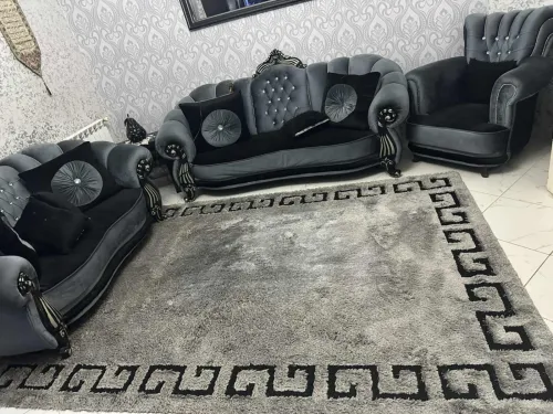 Salon + tapis ( la miroir et cache rideau gratuit)