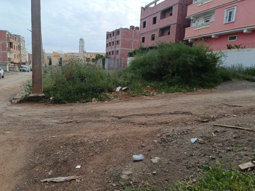 Vente Terrain Constantine El khroub