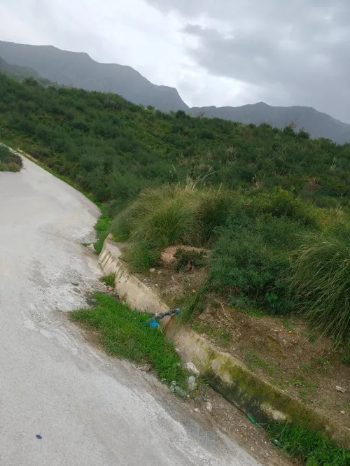 Vente Terrain Béjaïa Aokas