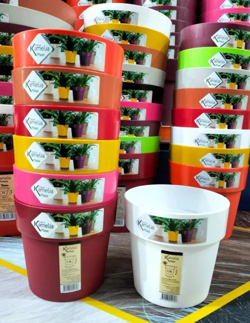Eplucheur(economme) ,pot de fleur, flexible, cintres,pomme de douche,douchette toilette.  مقشرة (إكونوم)، أصص زهور، خرطوم، علاقات ملابس، رأس دش، شطاف مرحاض.