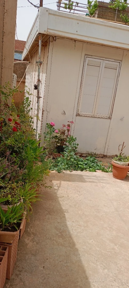 Vente bien immobilier Chlef Chettia