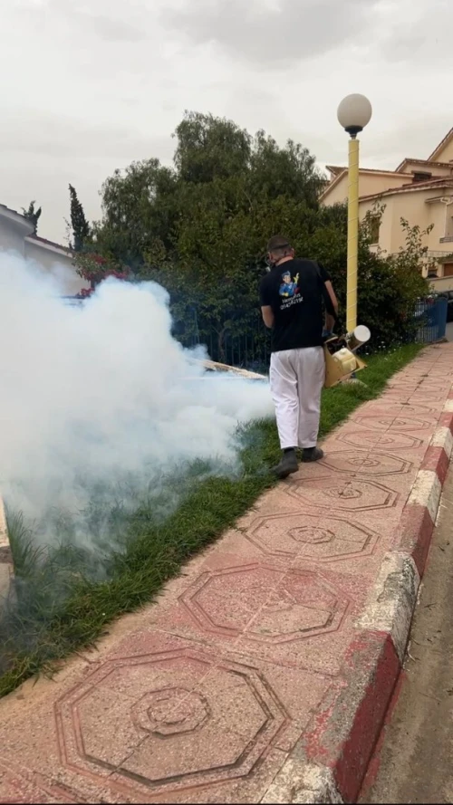 Entreprise de Dératisation, Désinsectisation 3D, Désinfection & Fumigation à Alger