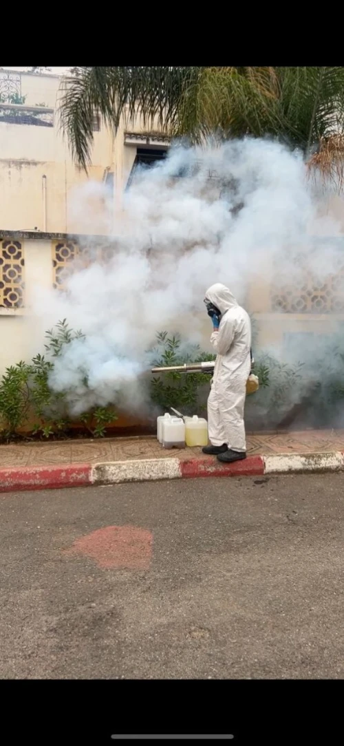 Entreprise de Dératisation, Désinsectisation 3D, Désinfection & Fumigation à Alger