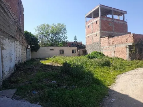 Vente Terrain Boumerdès Hammedi 2
