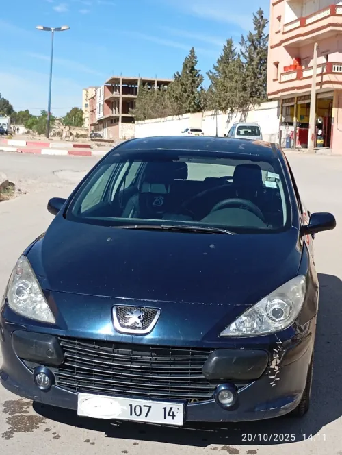 Peugeot 307 2007 307