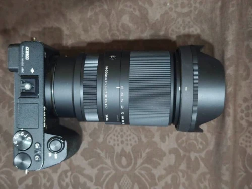 Sigma 16-300mm f/3.5-6.7 DC Sony (e-Mount)