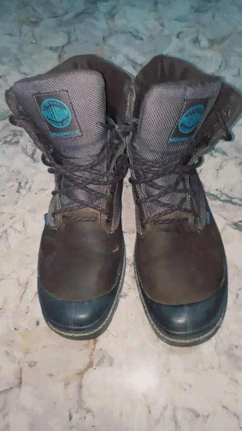 Boot paladium 