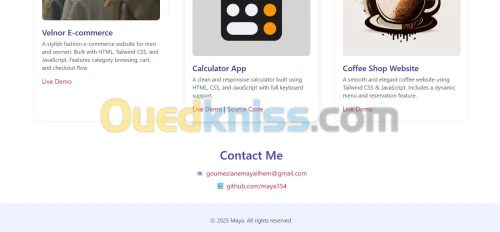 Développeur Web Freelance - Création de Sites Vitrines et E commerce
