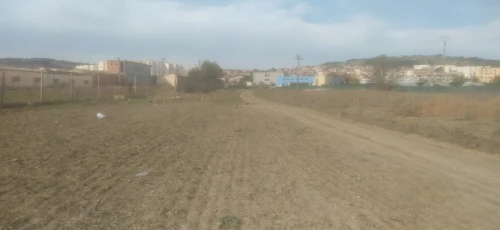 Vente Terrain Tipaza Sidi rached