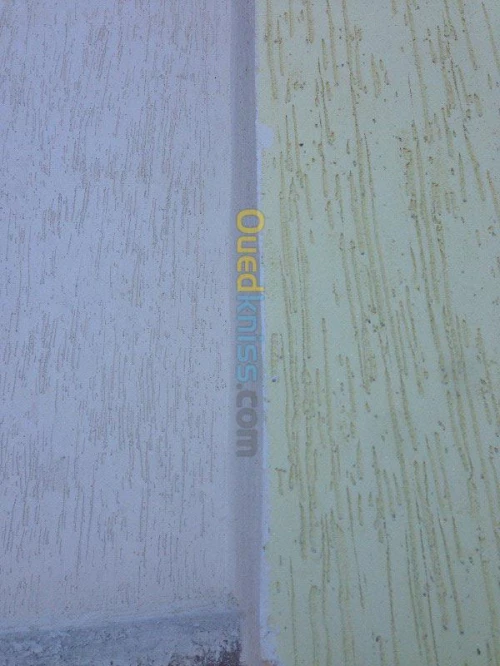 Revêtement de façades Monocouche 