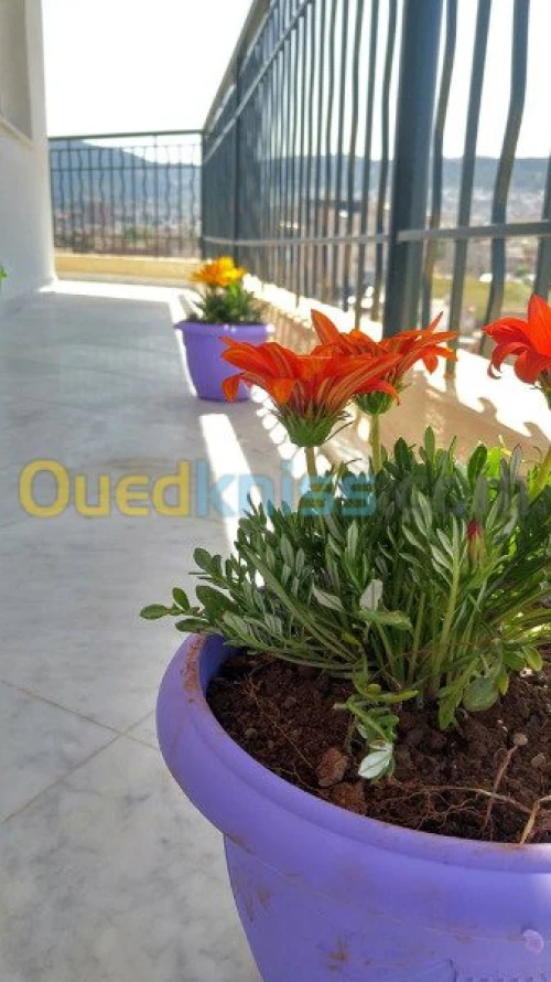 Location Appartement F5 Tlemcen Tlemcen