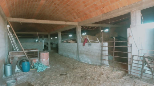 Vente Terrain Agricole Djelfa Had sahary