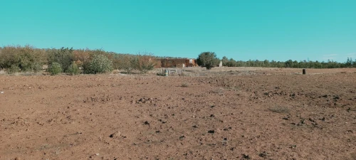 Vente Terrain Agricole Djelfa Djelfa