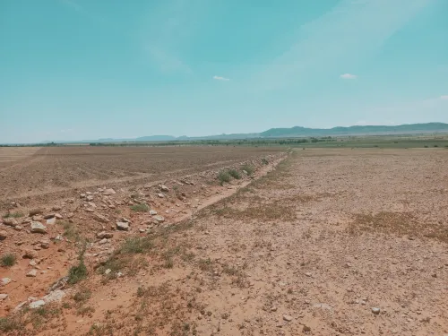 Vente Terrain Agricole Djelfa Bouira lahdab