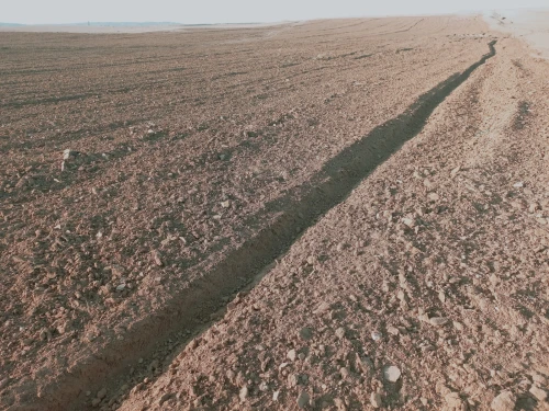 Vente Terrain Agricole Djelfa Djelfa
