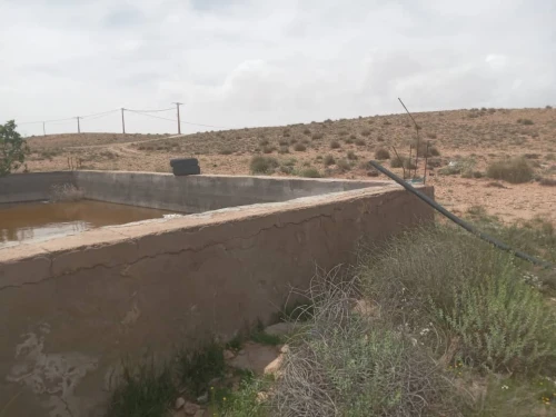 Vente Terrain Agricole Djelfa Djelfa