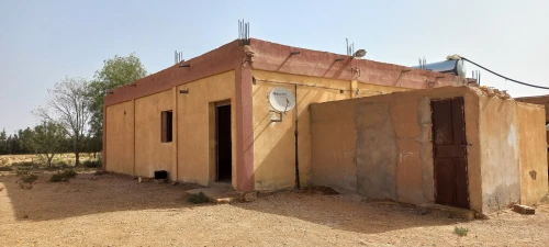 Vente Terrain Agricole Djelfa Zaafrane