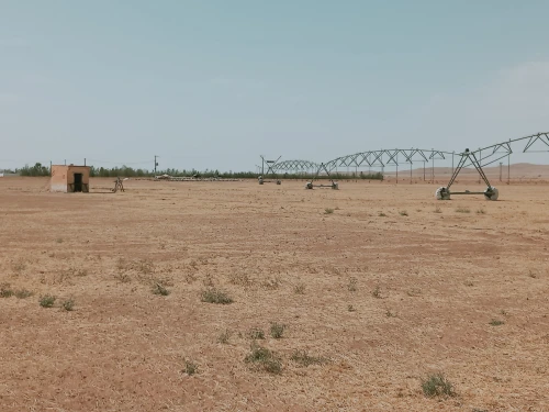 Vente Terrain Agricole Djelfa Ain oussara