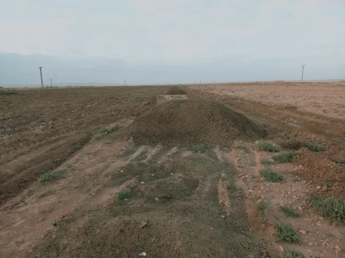 Vente Terrain Agricole Djelfa Djelfa