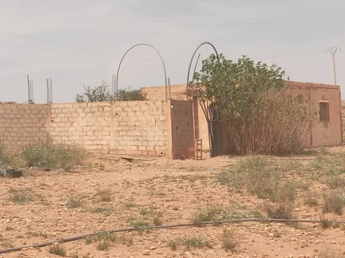 Vente Terrain Agricole Djelfa Djelfa