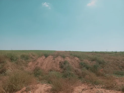Vente Terrain Agricole Djelfa Birine