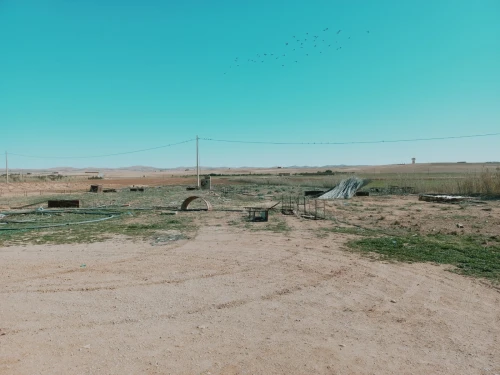 Vente Terrain Agricole Djelfa Dar chioukh