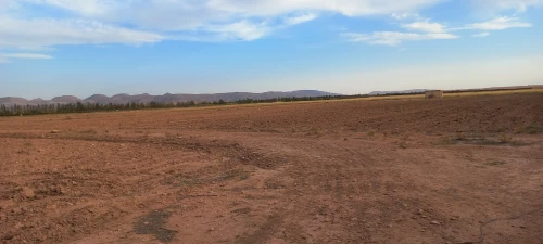 Vente Terrain Agricole Djelfa Had sahary