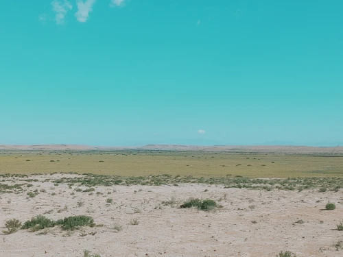 Vente Terrain Agricole Djelfa Djelfa