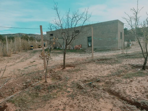 Vente Terrain Agricole Djelfa Djelfa