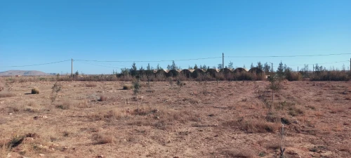 Vente Terrain Agricole Djelfa Djelfa