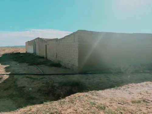 Vente Terrain Agricole Djelfa Djelfa