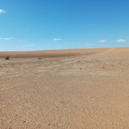Vente Terrain Agricole Djelfa Birine